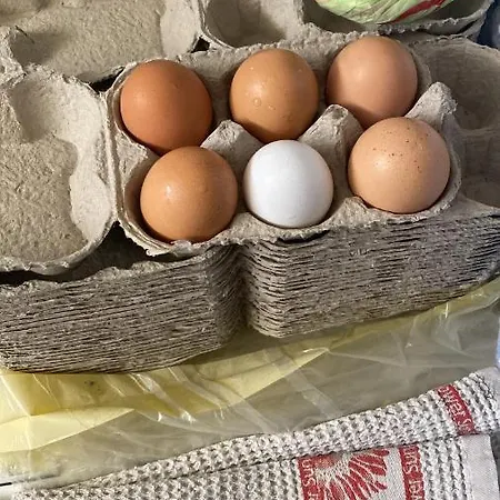 Casa San Benedetto Apartment *